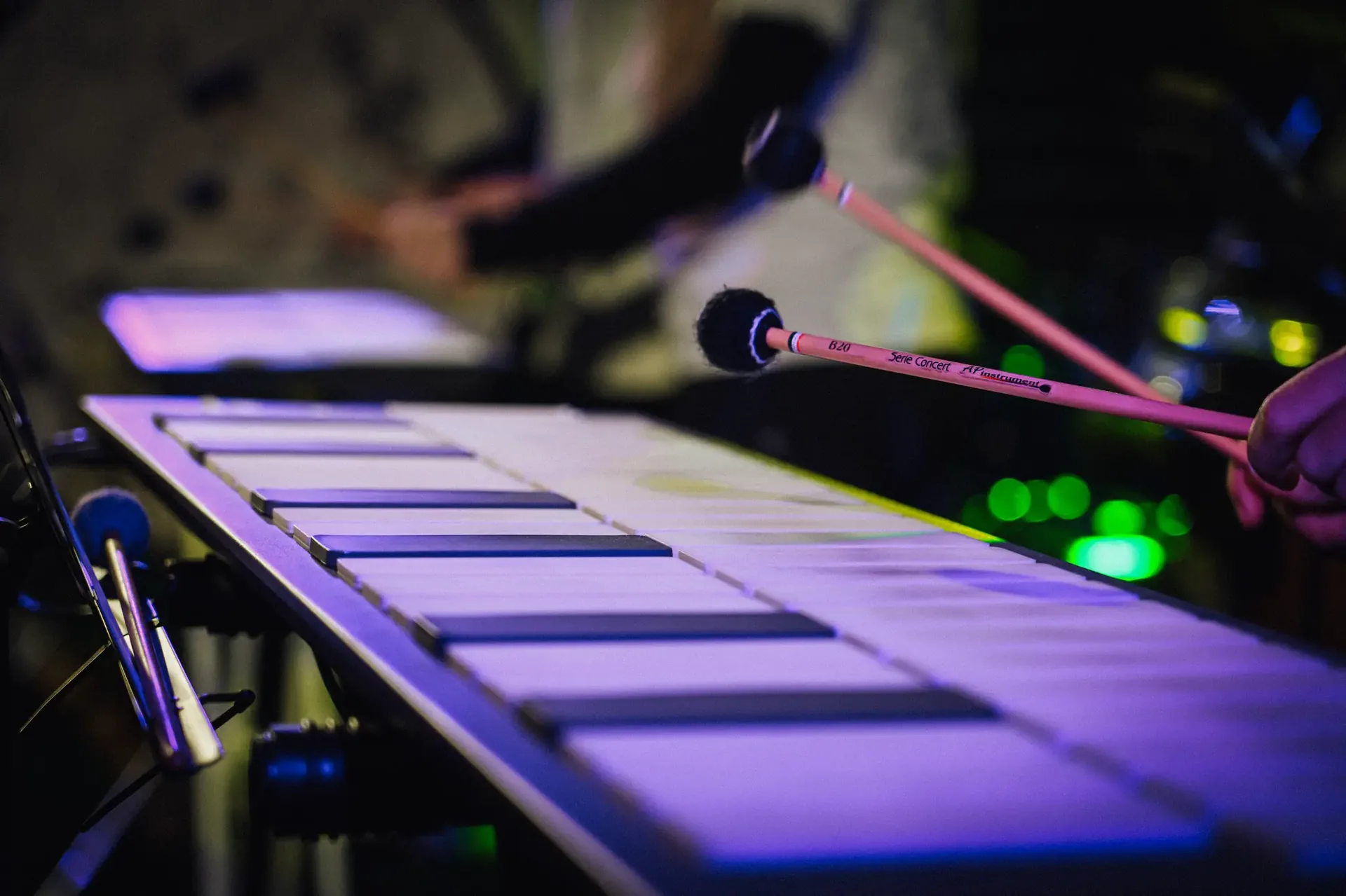 Dettaglio strumento a percussione