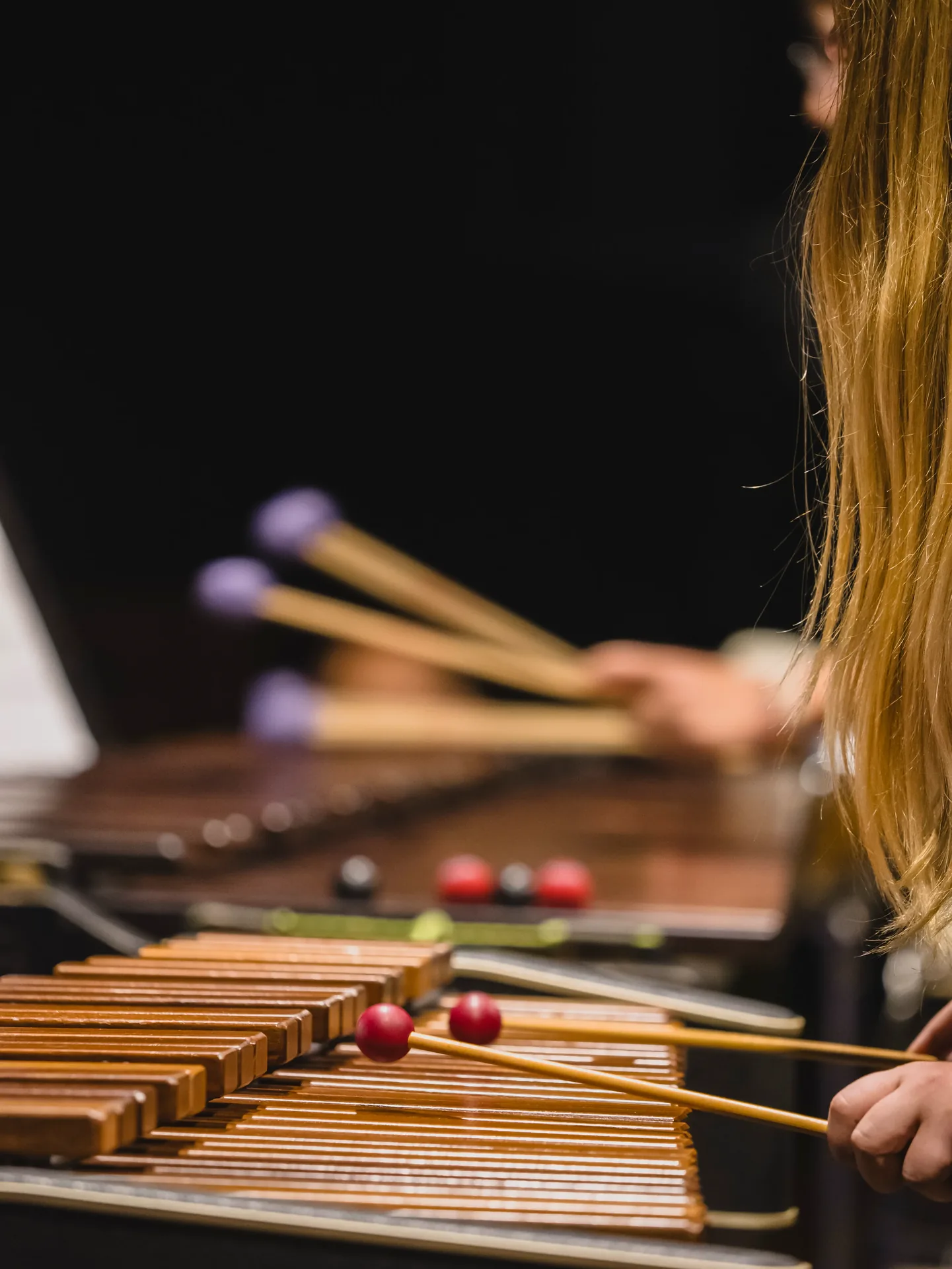 Dettaglio della marimba sul palco
